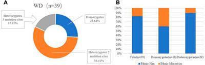 Clinical and genetic characterization of pediatric patients with Wilson’s disease from Yunnan province where <mark class="highlighted">ethnic minorities</mark> gather